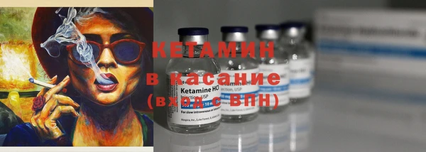 прущие грибы Абинск