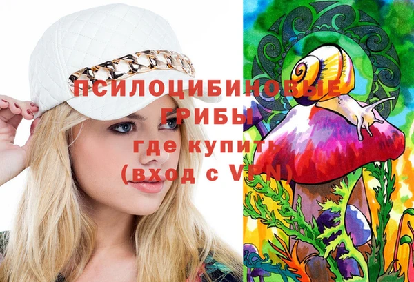 гашик Алексин