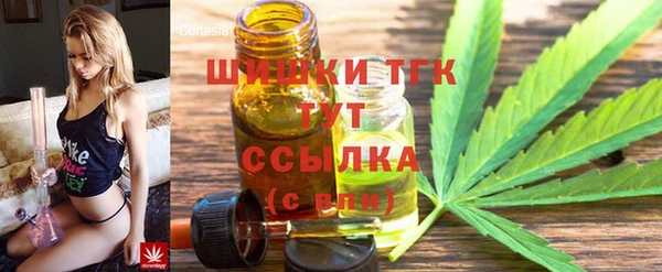 прущие грибы Абинск