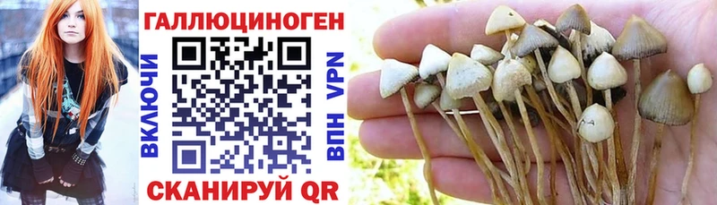 Псилоцибиновые грибы GOLDEN TEACHER  Усолье-Сибирское 
