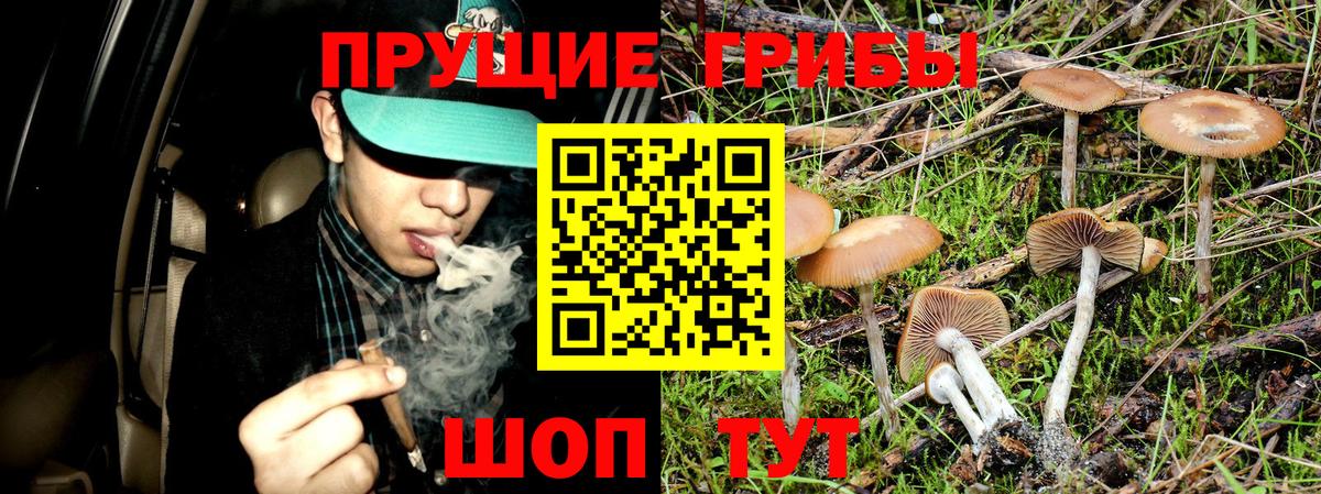 Галлюциногенные грибы прущие грибы Усолье-Сибирское